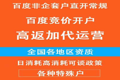 SEM广告投放的精准定位与优化案例